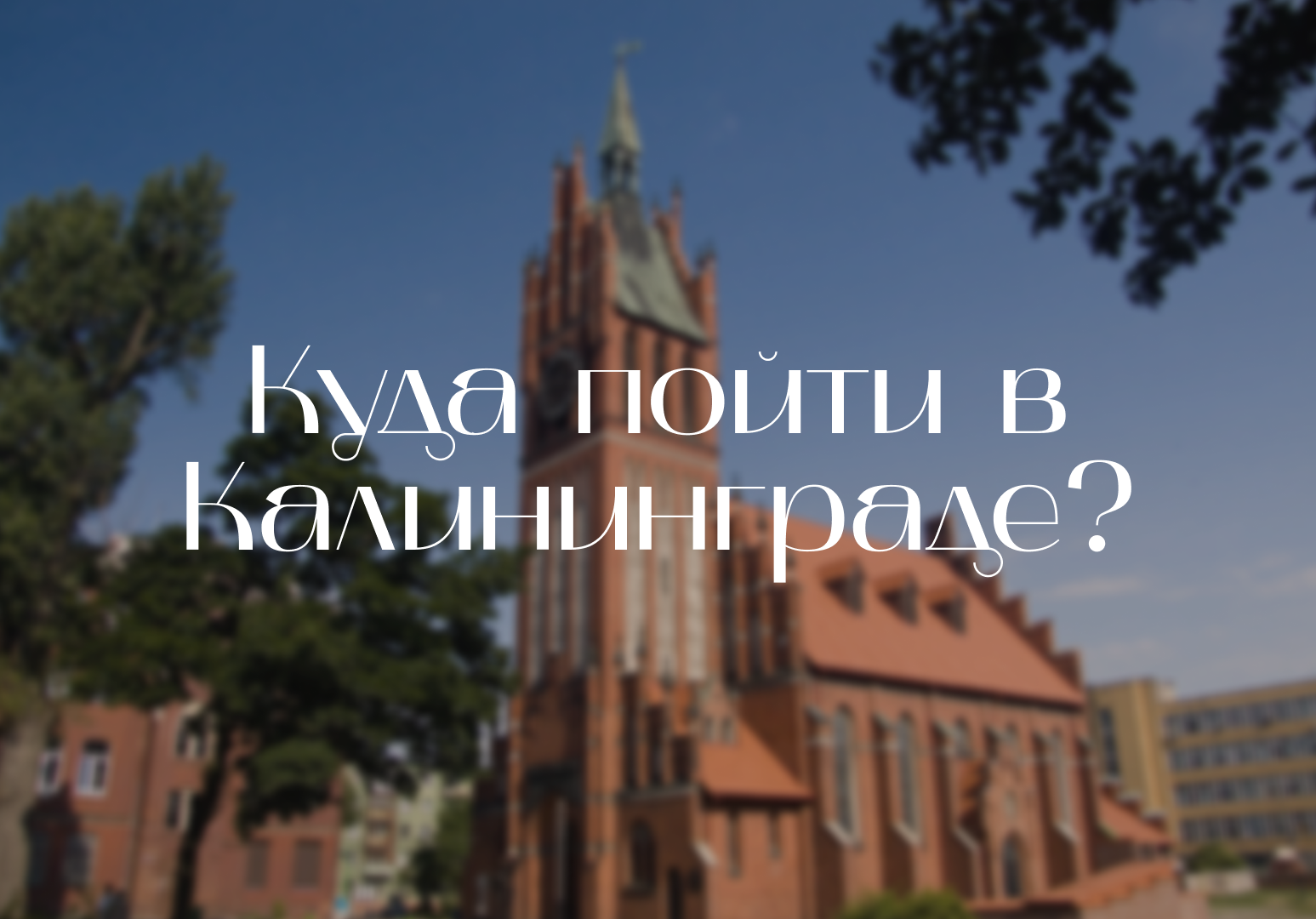 Куда сходить в Калининграде в июле 2026: концерты, фестивали и афиша лучших событий