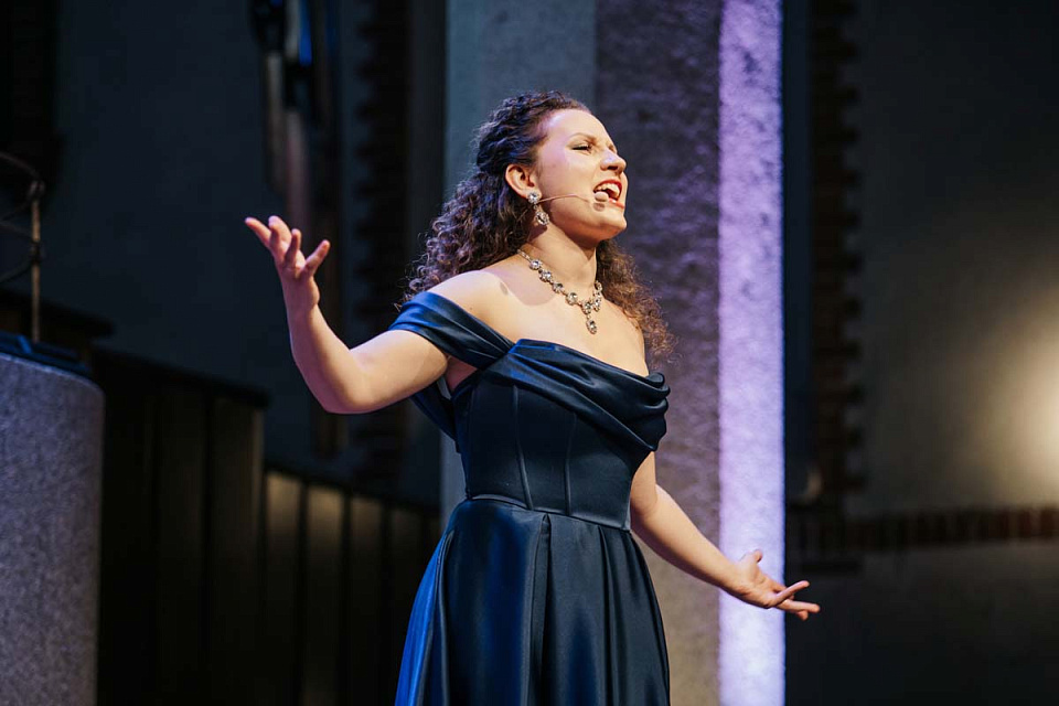 Гала-концерт Ко Дню артиста «Святая к музыке любовь...», Концертный духовой оркестр и солисты филармонии, 17 Января 2026г. — фото 12