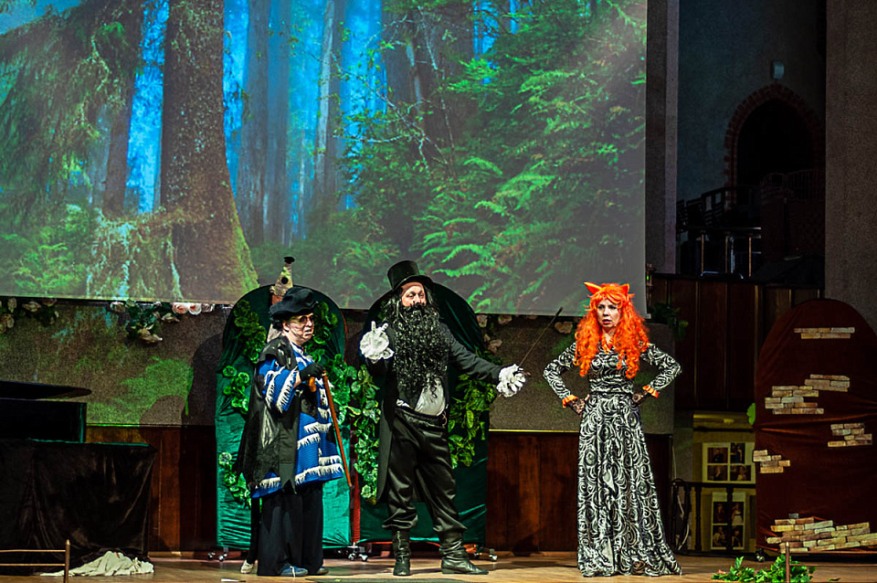 ПРИКЛЮЧЕНИЯ БУРАТИНО, 7 Февраля 2021г. — фото 42