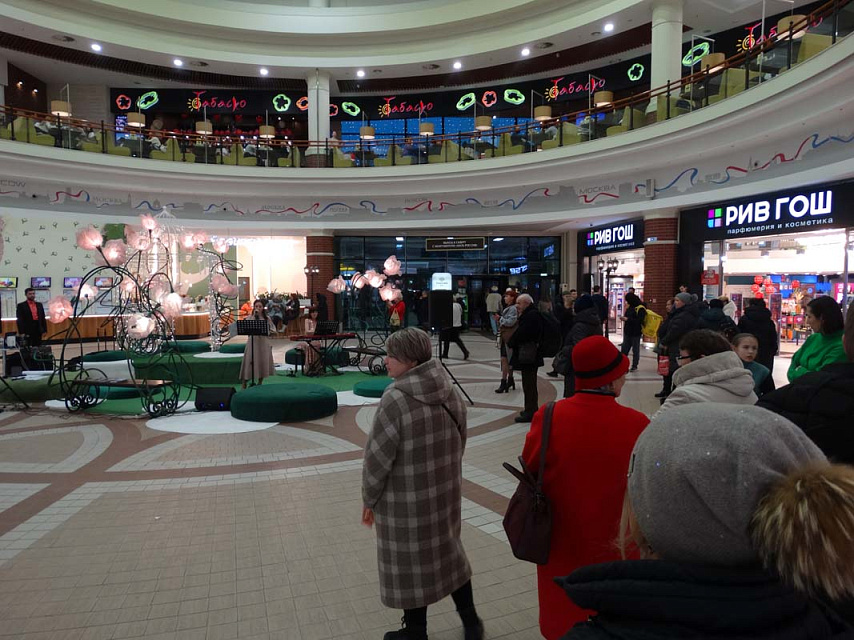 Мини-концерт солистов филармонии в ТРЦ «Европа», 14 Февраля 2024г. — фото 18