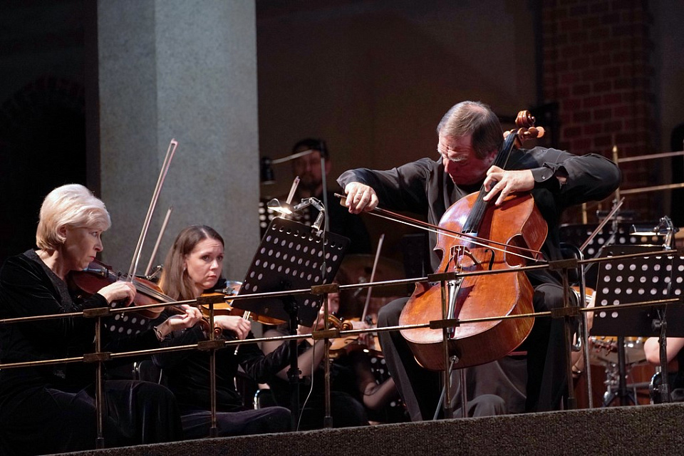 Ролдугин в Калининграде, 11 Ноября 2019г. — фото 29