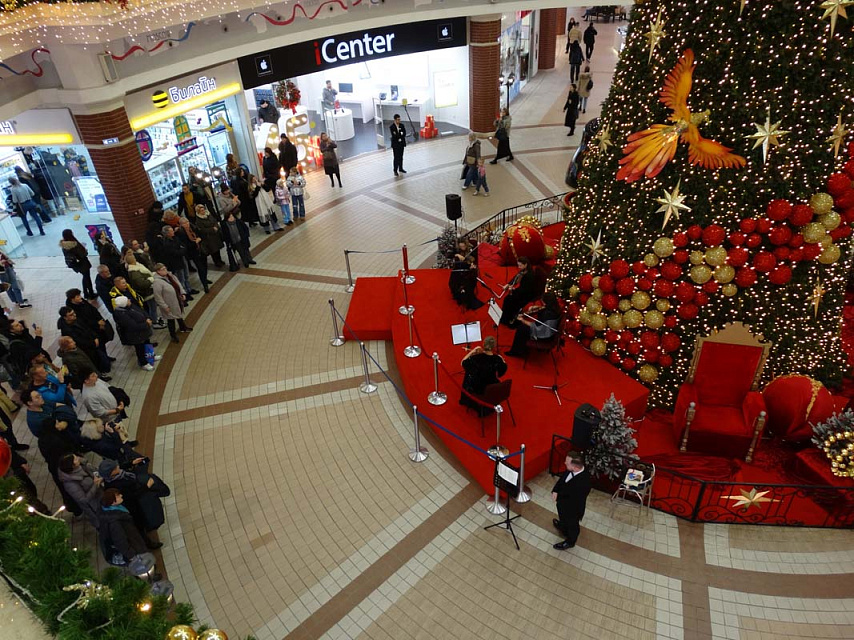 Выступление струнного квартета Калининградской областной филармонии в ТРЦ «Европа», 20 Декабря 2024г. — фото 8