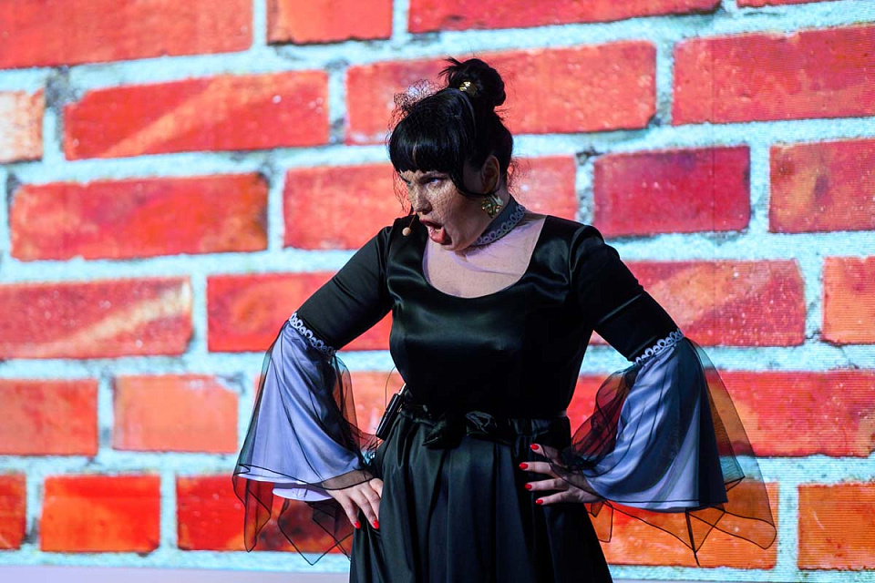 Музыкальная сказка "Рапунцель" в театры эстрады "Янтарь-холл", г. Светлогорск, 12 Мая 2024г. — фото 10