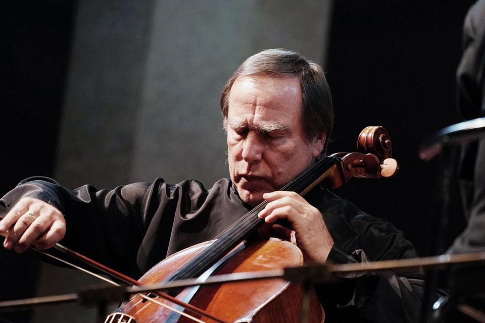 Ролдугин в Калининграде, 11 Ноября 2019г. — фото 24