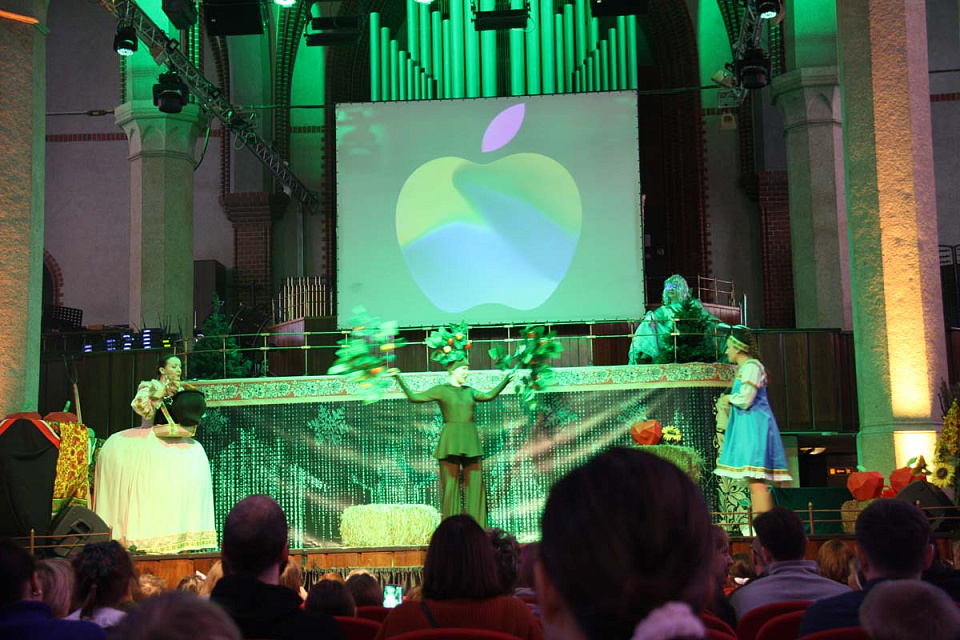 Музыкальная сказка «Гуси-лебеди: перезагрузка», 8 Февраля 2026г. — фото 3