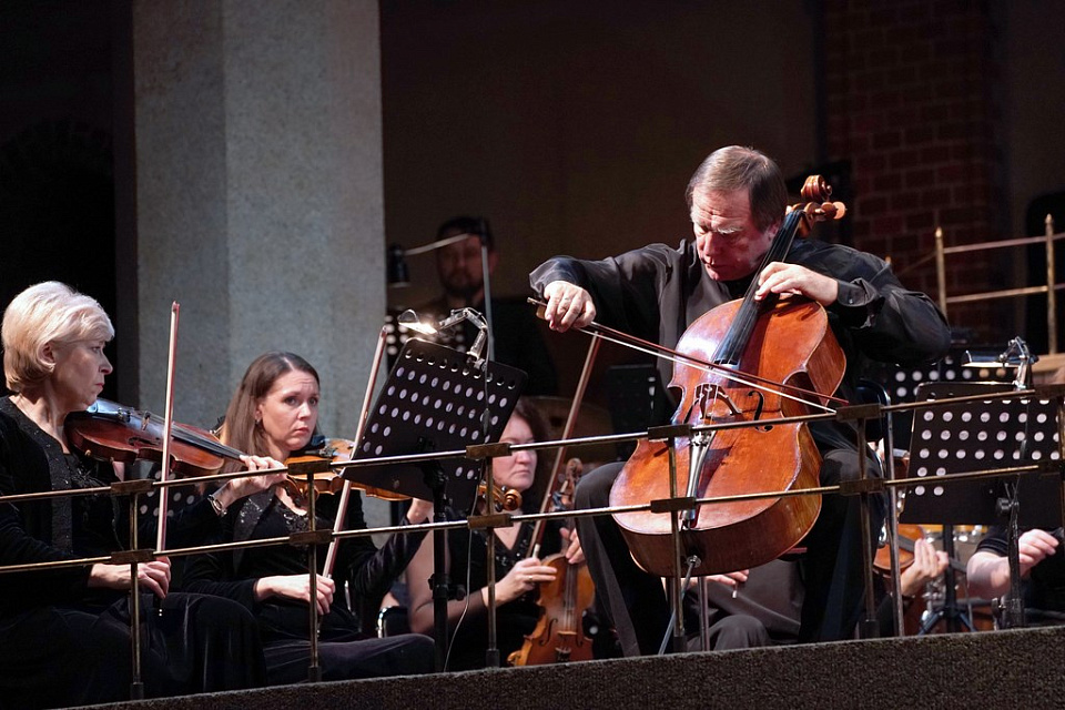 Ролдугин в Калининграде, 11 Ноября 2019г. — фото 30